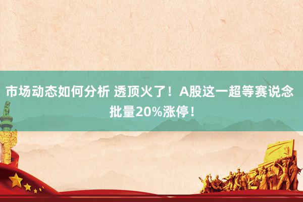 市场动态如何分析 透顶火了！A股这一超等赛说念 批量20%涨停！