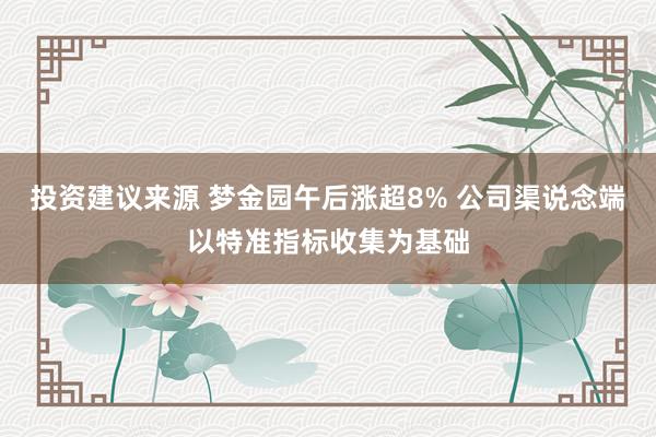 投资建议来源 梦金园午后涨超8% 公司渠说念端以特准指标收集为基础