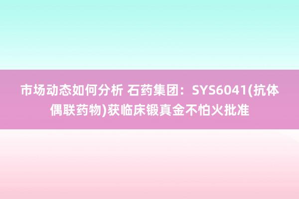 市场动态如何分析 石药集团：SYS6041(抗体偶联药物)获临床锻真金不怕火批准