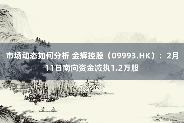 市场动态如何分析 金辉控股（09993.HK）：2月11日南向资金减执1.2万股