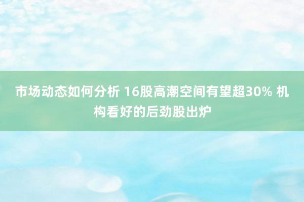 市场动态如何分析 16股高潮空间有望超30% 机构看好的后劲股出炉