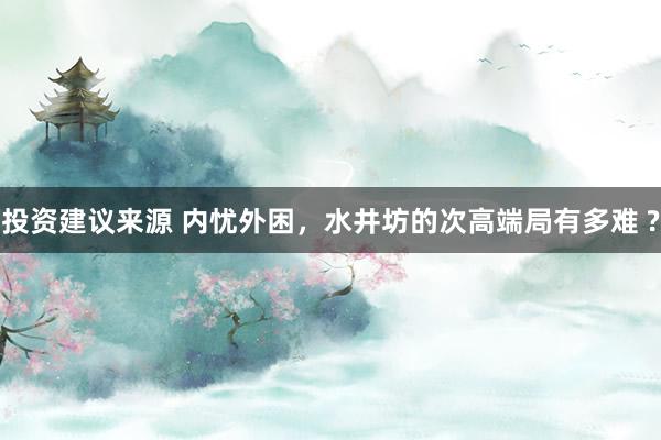 投资建议来源 内忧外困，水井坊的次高端局有多难 ?