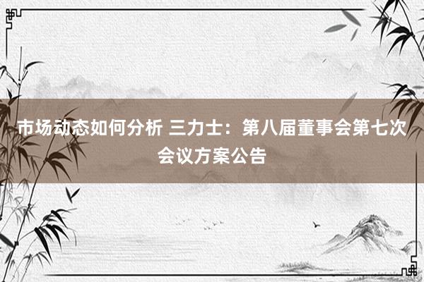 市场动态如何分析 三力士：第八届董事会第七次会议方案公告