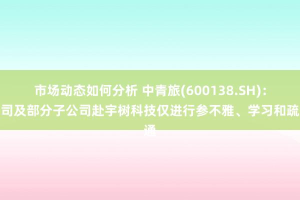 市场动态如何分析 中青旅(600138.SH)：公司及部分子公司赴宇树科技仅进行参不雅、学习和疏通