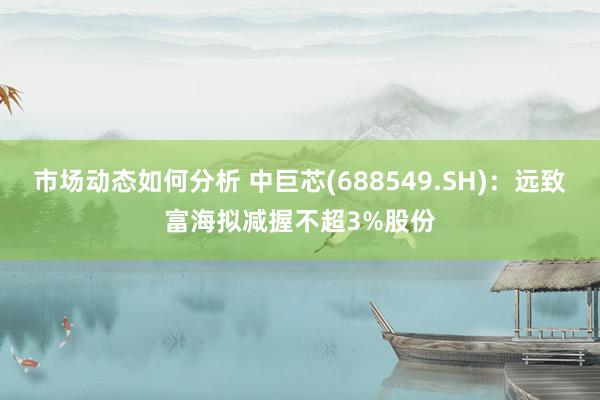 市场动态如何分析 中巨芯(688549.SH)：远致富海拟减握不超3%股份